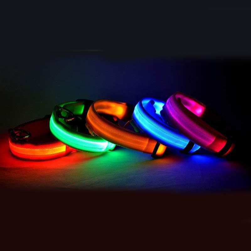 GlowGuard: LED Pet Collar – Night Safety Luminous Collar for Dogs