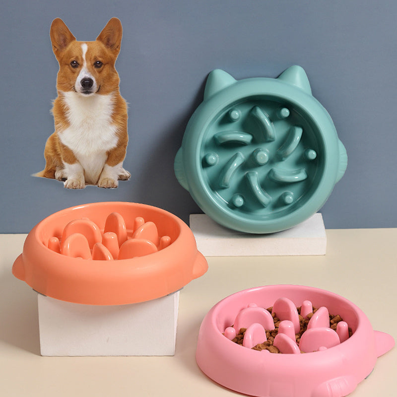 Anti-Gulping Slow Feeder Bowl for Dogs – Choke Prevention and Healthy Eating