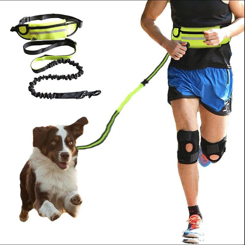 RunFree: Hands-Free Dog Leash with Shock Absorbing Bungee – Waist Belt, Phone Pocket, & Water Bottle Holder