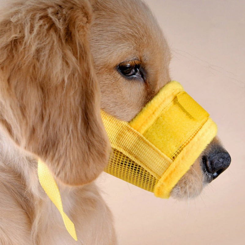 PawSafe: Adjustable Breathable Muzzle for Dogs – No Biting, Just Comfort!