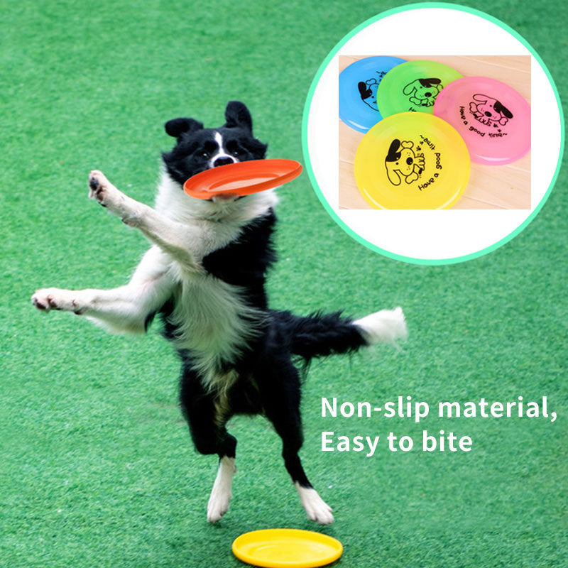 Interactive Dog Frisbee – Outdoor Pet Toy for Active Play and Training